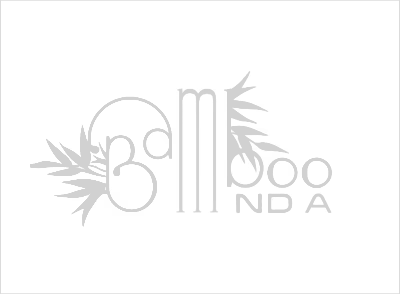 Bamboo India